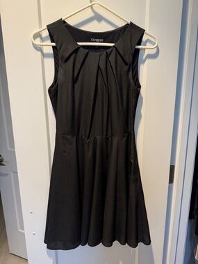 Express Black Sleeveless Pleated Fit-and-Flare Mini Dress
